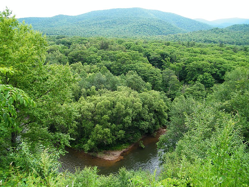 File:Река Павловка в Чугуевском районе фото2.JPG