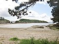 La Grande Île du Bindy vue depuis la partie nord de la grève du Bindy 1.