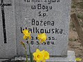 image=http://commons.wikimedia.org/wiki/File:103_Walkowska_Bo%C5%BCena.jpg