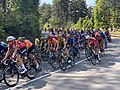 Miniatura para 19.ª etapa del Tour de Francia 2020