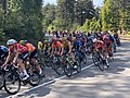 Vignette pour 19e étape du Tour de France 2020