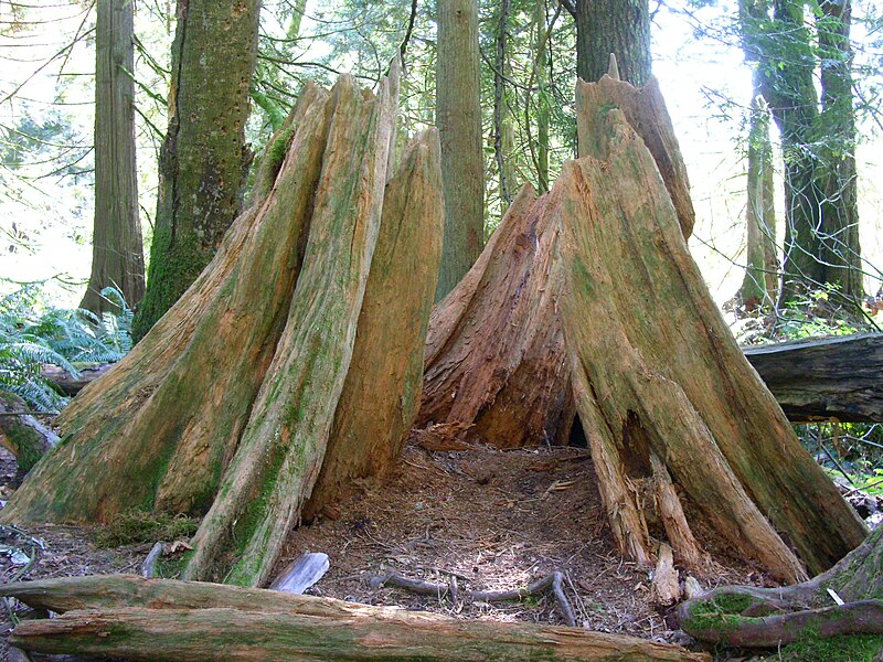 File:2005-03-13, Snoqualmie Falls Trail, 004.jpg