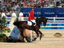 The Westfalen All Inclusive competing in show jumping with Ludger Beerbaum at the 2008 Olympic Games. 2008 Olympic Games Equestrian Game Day Racing Round 2 01.jpg