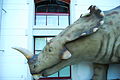 Triceratopo antaŭ la Saŭromuzeo Aatal