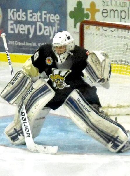 Vipers goalie on road (October 2013).