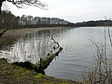 Deutsch: Tietzowsee