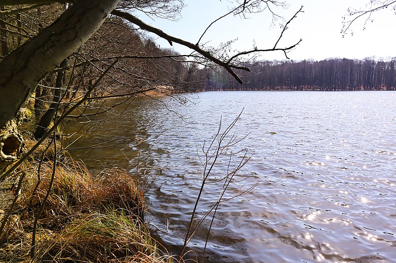 File:2018 04 Schwaerzesee IMG 0868.JPG