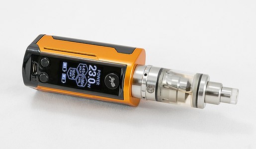 Electronic cigarette: box mod Wismec Reuleaux RX GEN3 and vaporizer SvoëMesto Kayfun V4