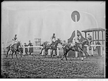 26-3-26, arrivee du Grand national de Liverpool, gagne par Jack Horner (cheval de course monte par William Watkinson) (CNews) - (photographie de presse) - (Agence Rol).jpg