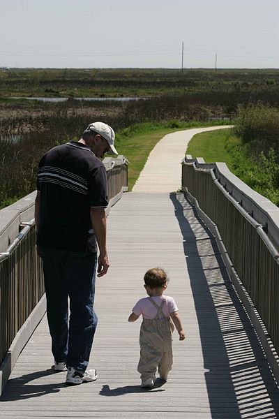 File:A man and toddler take a leisurely walk on a boardwalk.jpg