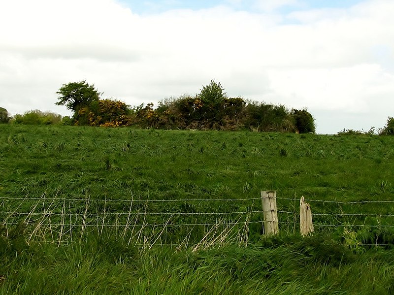 File:A rath opposite St Brigid's Primary School - geograph.org.uk - 3573433.jpg