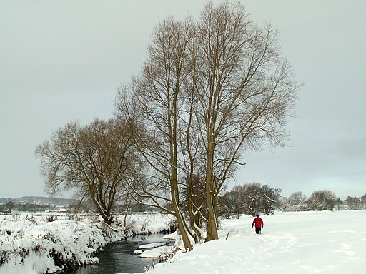 A walker on The Dearne Way - geograph.org.uk - 2183554