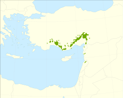 Utbredelseskart for kilikia-edelgran