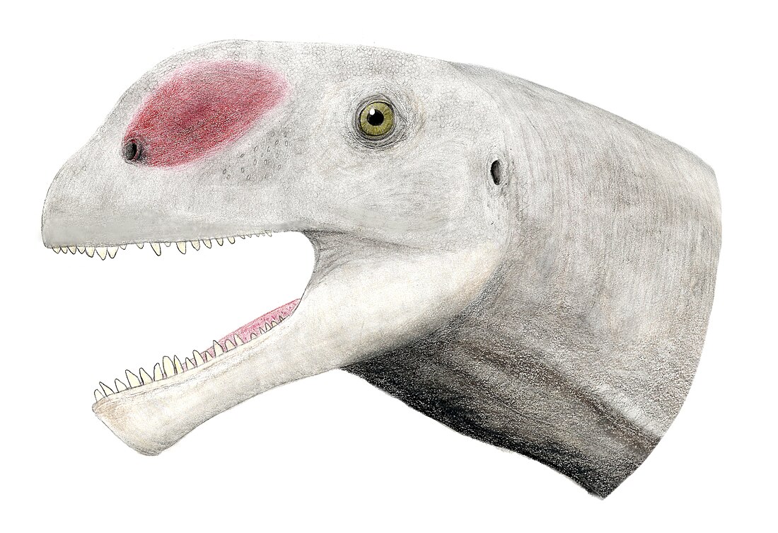 Abrosaurus dongpoi