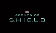 Agents of SHIELD season 5 logo.png