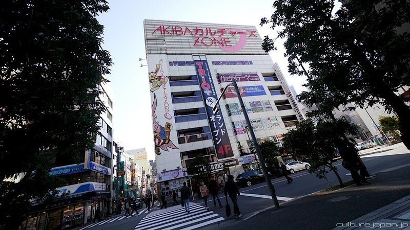 File:Akiba Cultures Zone (2013-02-18 02.10.40 by Danny Choo).jpg