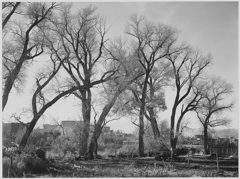 File:Ansel Adams - National Archives 79-AA-Q04.jpg