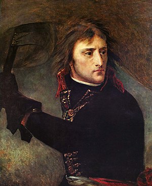 Napoleon Bonaparte: Vzestup, Císařství, Závěr kariéry