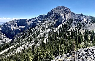 <span class="mw-page-title-main">Lincoln Peak (Nevada)</span> Mountain in Nevada, United States