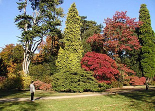 Arboretum Wikipedia