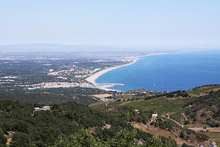 Argelès Plage (1)