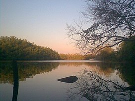 Atardecer en Estero Aguamitas - panoramio.jpg