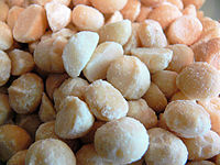 Macadamia nuts Awwwwww NUTS.jpg