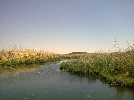 Wetlands