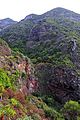 Detalle del cauce del Barranco de Las Traviesas casi en su confluencia con el Barranco de Los Hombres.