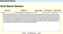 Figure 2: Using web-based BLAT to search a target database with a DNA query sequence. The search parameters can be seen above the query sequence BLAT Search Genome.png