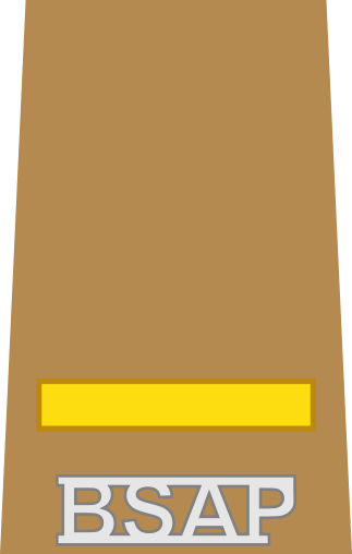 File:BSAP Patrol Officer insignia.svg