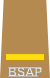 BSAP Patrol Officer insignia.svg