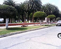 Damage at the Ross Park of Pichilemu.