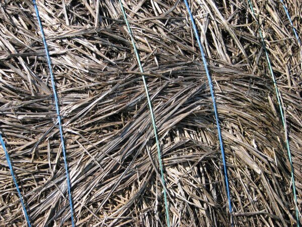 Binder twine securing a hay bale