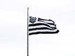 Bandeira do Figueirense