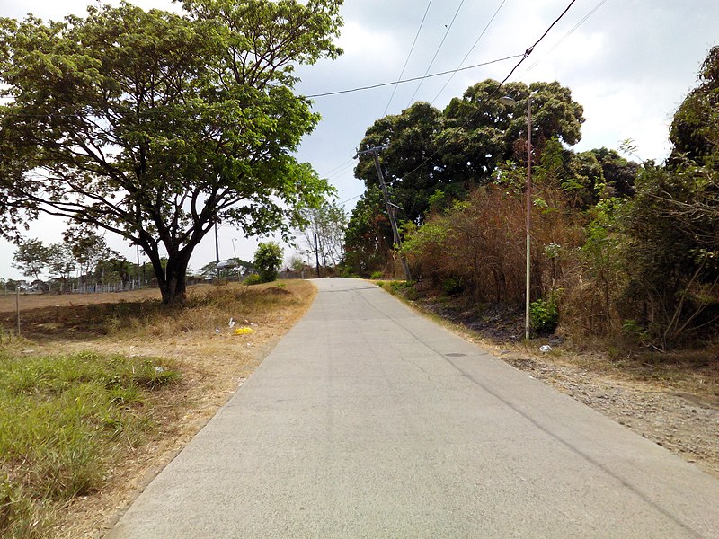 File:Barangays of Pandi, Bulacan - panoramio (108).jpg