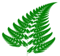 English: "Classic" Barnsley fern with original coefficients.