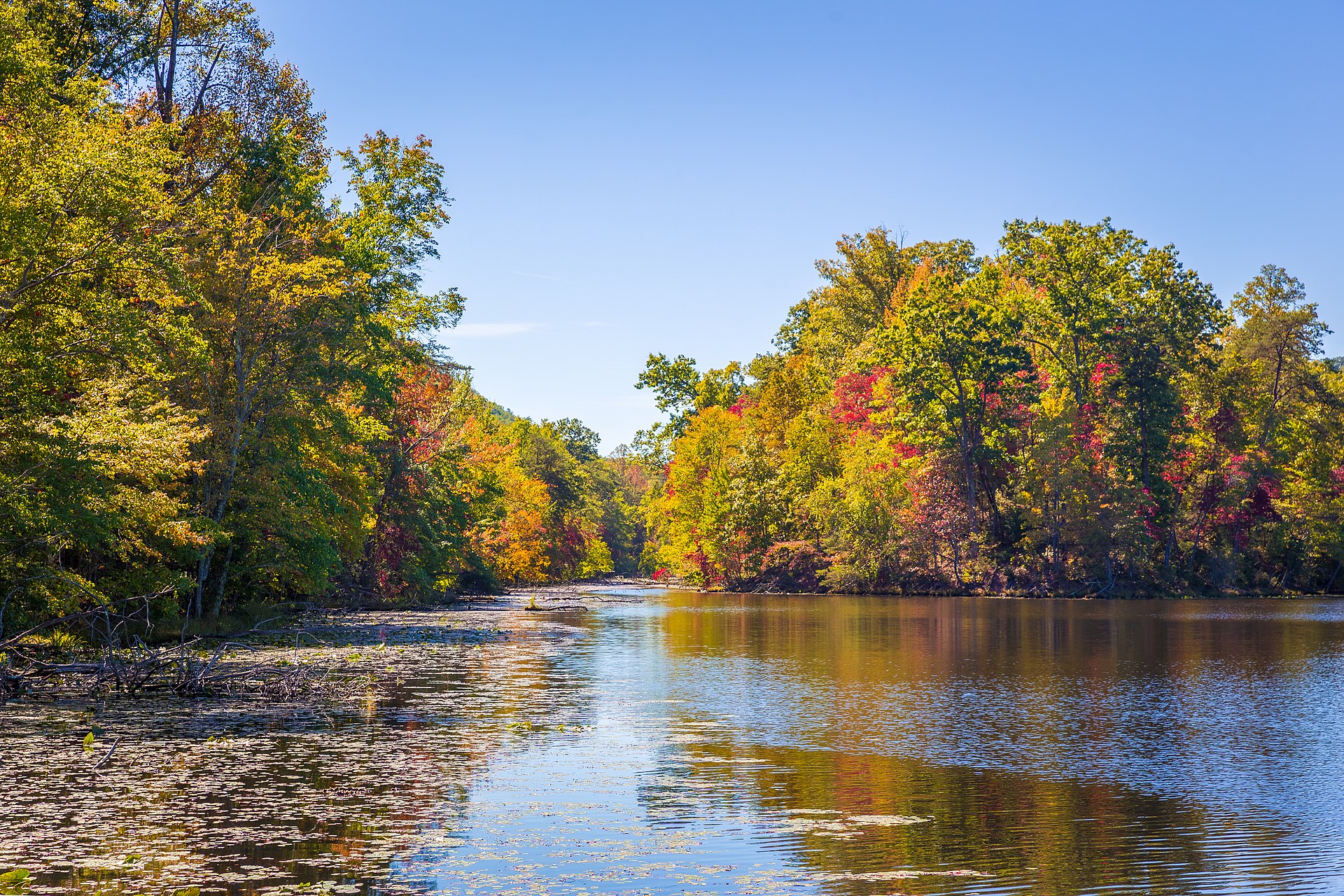 Bays Mountain Park (30426766162).jpg