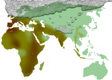 Spread of handaxe cultures Biface Extension.png