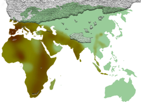 Map showing the general distribution of Middle Pleistocene handaxes