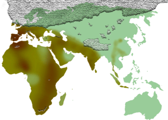 Map showing the approximate distribution of cultures using bifaces during the Middle Pleistocene (Acheulean) Biface Extension.png