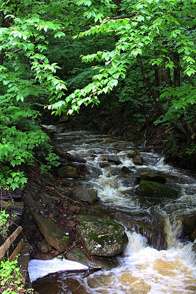 File:Big Run looking upstream.JPG