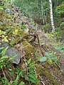 Svenska: Bispbergs gruva, Säters kommun, Sverige.