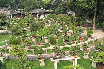 An exhibition of Penjing at Tiger Hill in Suzhou.
