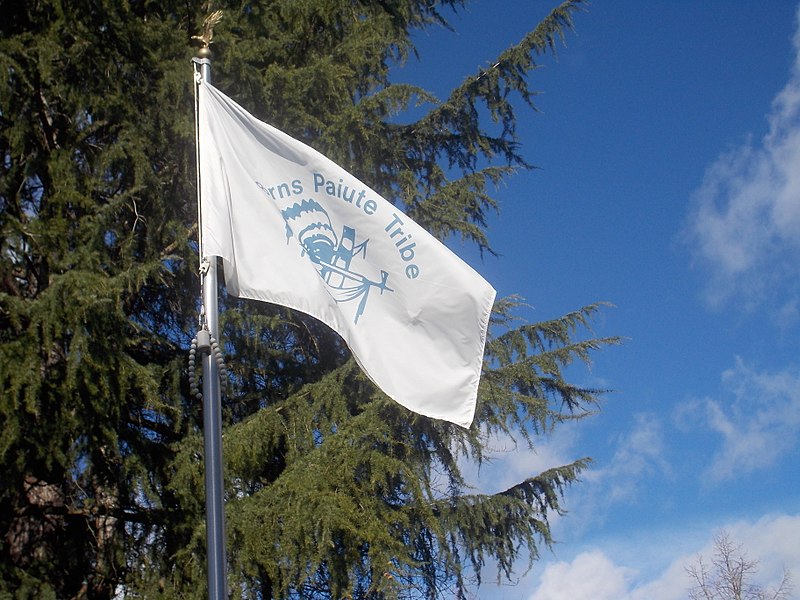 File:Burns Paiute flag at Walk of Flags.jpg