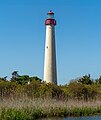 * Nomination: Cape May Lighthouse (pano) --Rhododendrites 21:23, 18 May 2024 (UTC) * * Review needed