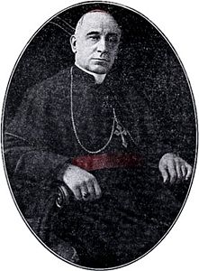 Cardinal Scapinelli.jpg