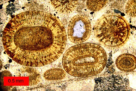 Cimentation (géologie)