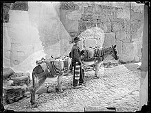 A water carrier circa 1900, by Casiano Alguacil.