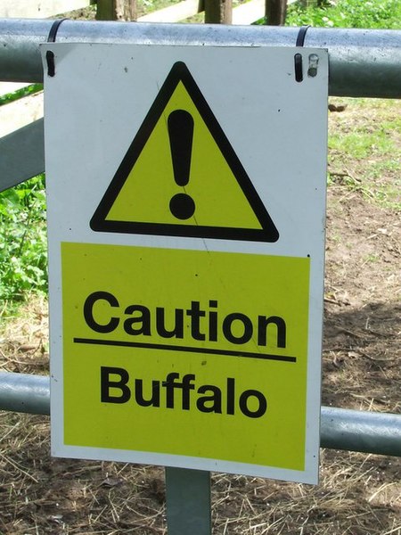 File:Caution Buffalo - geograph.org.uk - 806385.jpg